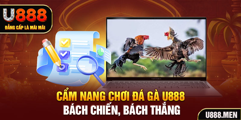 Đá Gà U888 Livestream 24/7 Cùng Nhiều Kèo ODDS Mỗi Ngày Cẩm nang chơi đá gà U888 bách chiến, bách thắng