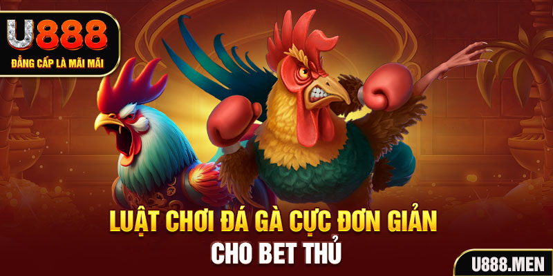 Đá Gà U888 Livestream 24/7 Cùng Nhiều Kèo ODDS Mỗi Ngày Luật chơi đá gà cực đơn giản cho bet thủ