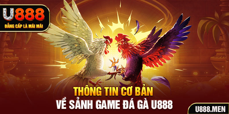 Đá Gà U888 Livestream 24/7 Cùng Nhiều Kèo ODDS Mỗi Ngày Thông tin cơ bản về sảnh game đá gà U888