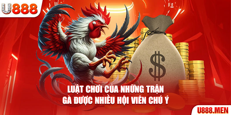Đá Gà Trực Tiếp Thomo Siêu Đỉnh Cao Từ Nhà Cái U888 Luật chơi của những trận gà được nhiều hội viên chú ý
